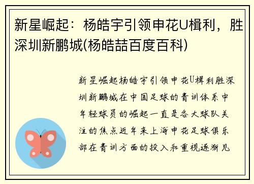 新星崛起：杨皓宇引领申花U楫利，胜深圳新鹏城(杨皓喆百度百科)