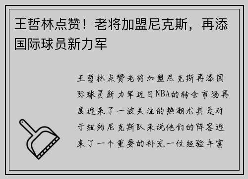 王哲林点赞！老将加盟尼克斯，再添国际球员新力军
