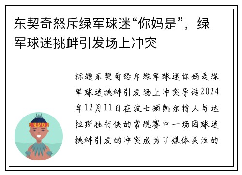 东契奇怒斥绿军球迷“你妈是”，绿军球迷挑衅引发场上冲突