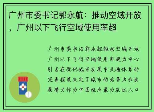 广州市委书记郭永航：推动空域开放，广州以下飞行空域使用率超