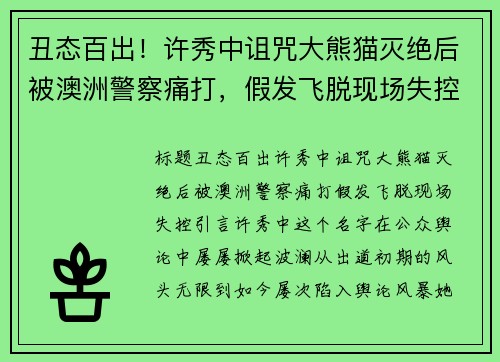 丑态百出！许秀中诅咒大熊猫灭绝后被澳洲警察痛打，假发飞脱现场失控