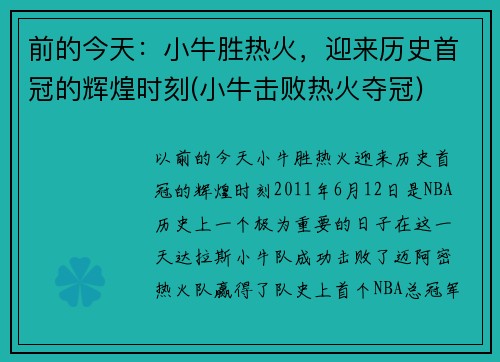 前的今天：小牛胜热火，迎来历史首冠的辉煌时刻(小牛击败热火夺冠)