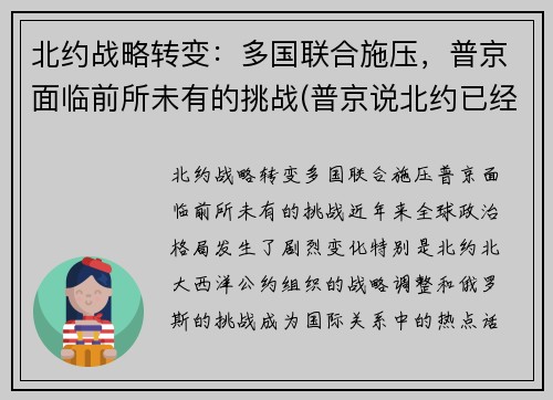 北约战略转变：多国联合施压，普京面临前所未有的挑战(普京说北约已经没有存在的必要了)